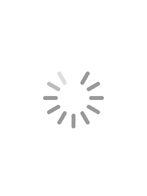 loading img